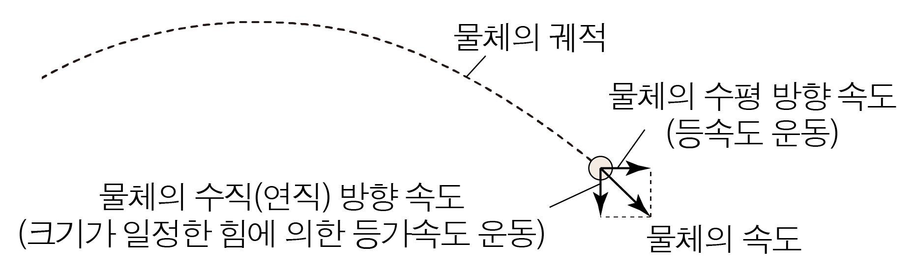 포물선 운동 | 모두의 과학