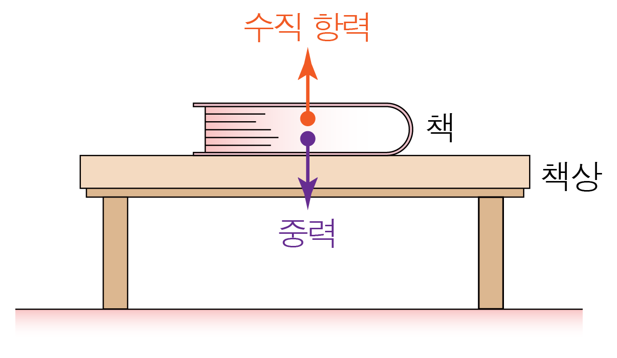 힘의 종류 | 모두의 과학