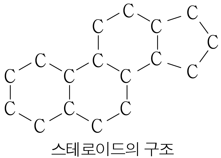 생명체의 구성 물질 | 모두의 과학