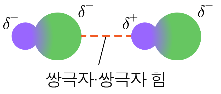 분자 간 힘 | 모두의 과학