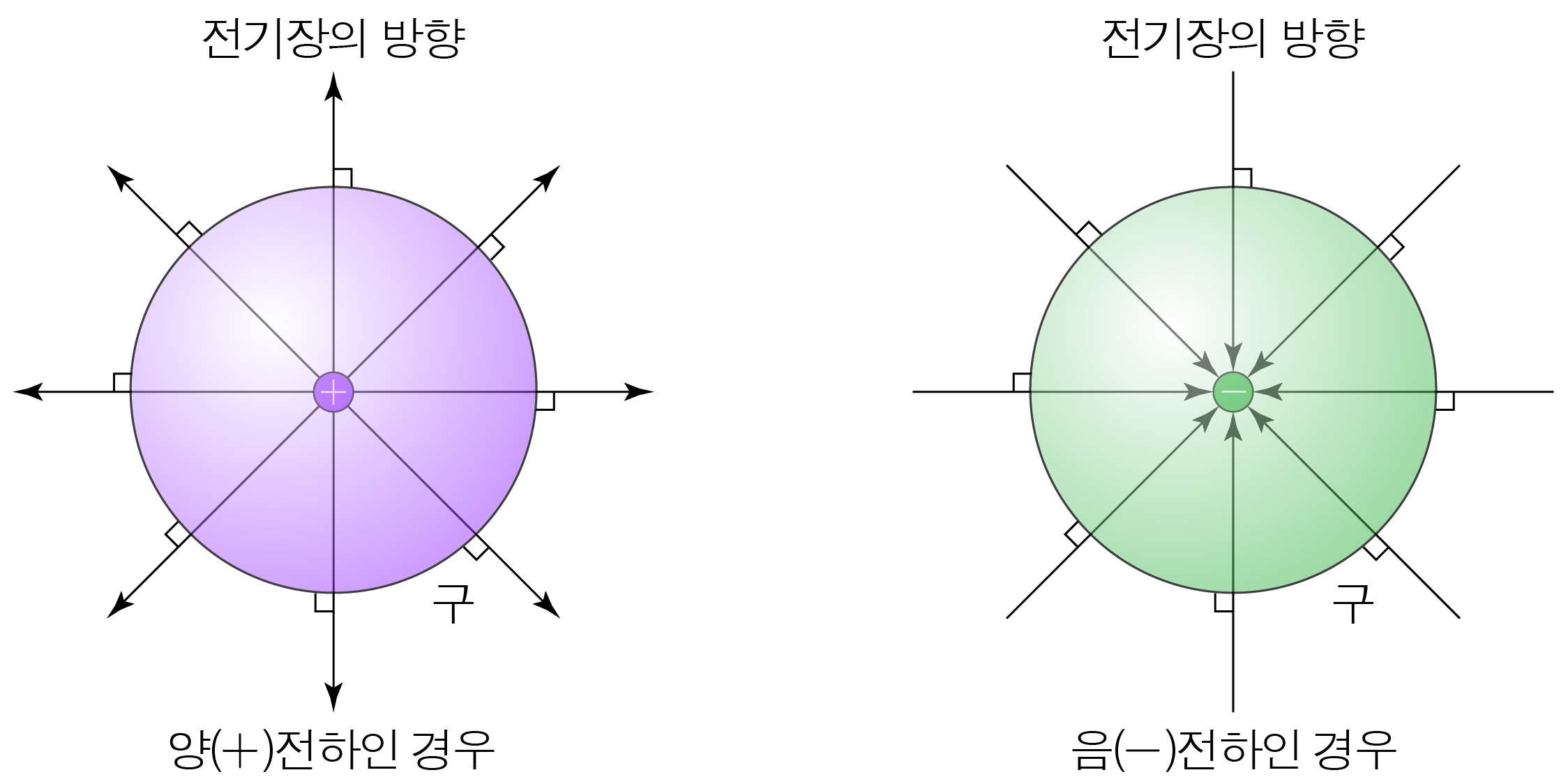 양전하와 음전하 주변 전기장 방향을 비교한 도식