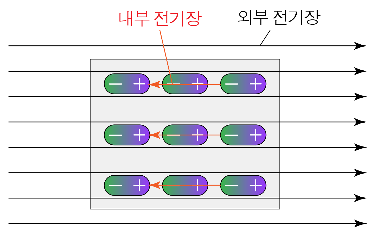 외부 전기장 속에서 내부 전기장 방향이 반대인 전하 배열