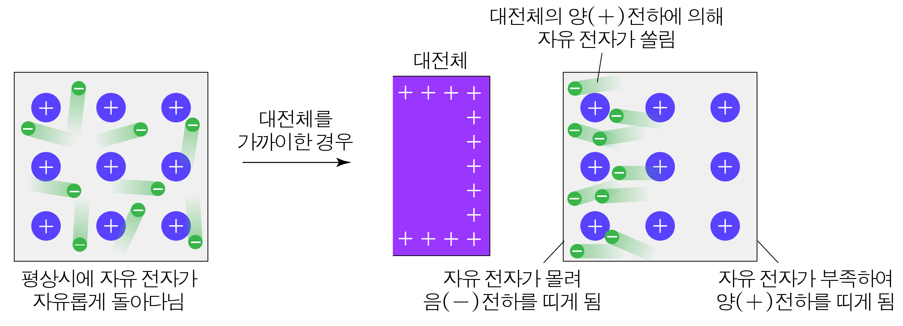금속에서 자유 전자의 이동과 대전체 주변 전하 분포를 나타낸 그림