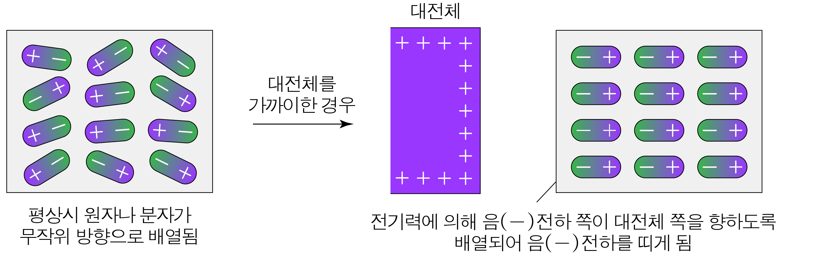 대전체에 가까이 갔을 때 분자 내 전하가 배열되는 모습