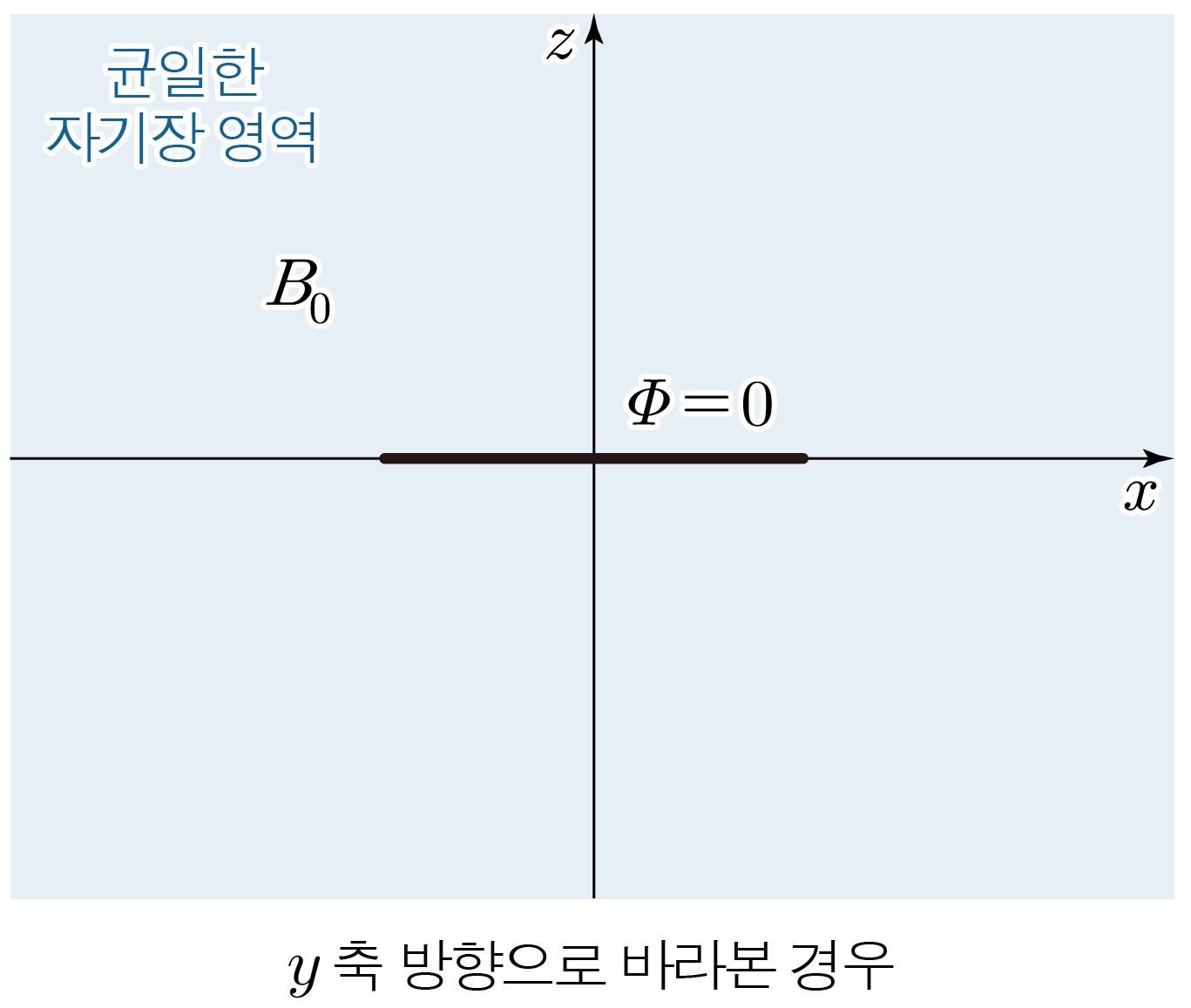 균일한 자기장 영역과 y축 방향 관찰을 나타낸 좌표 diagram