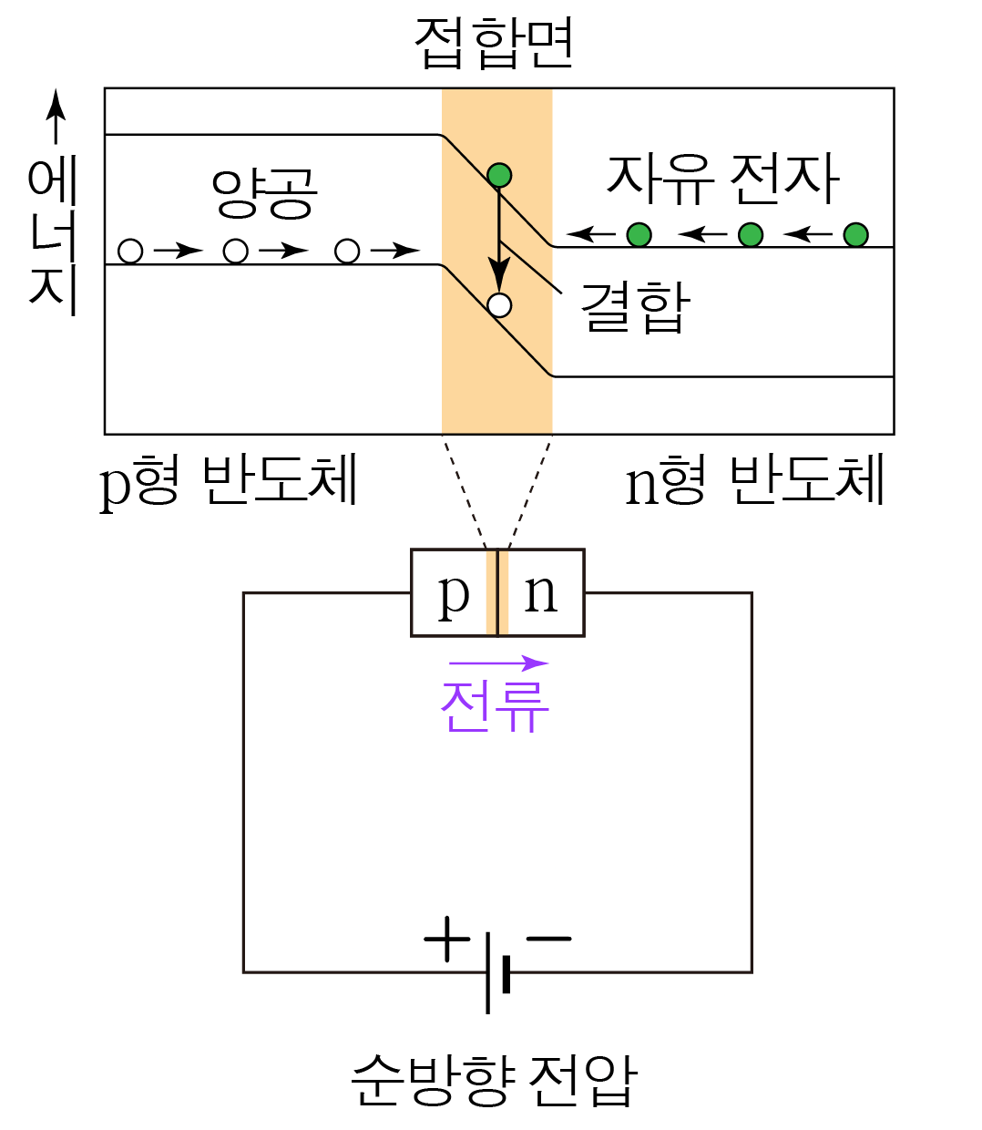 p형과 n형 반도체 접합면의 자유 전자와 양공, 순방향 전압 회로
