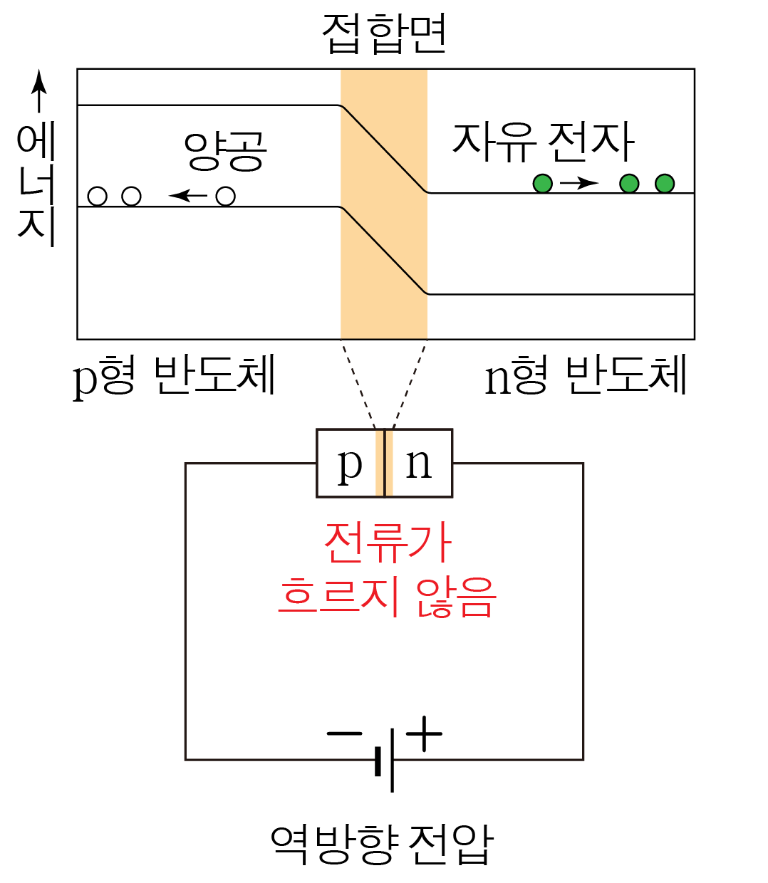 역방향 전압이 인가된 p-n 접합 다이오드의 에너지띠와 전하 분포