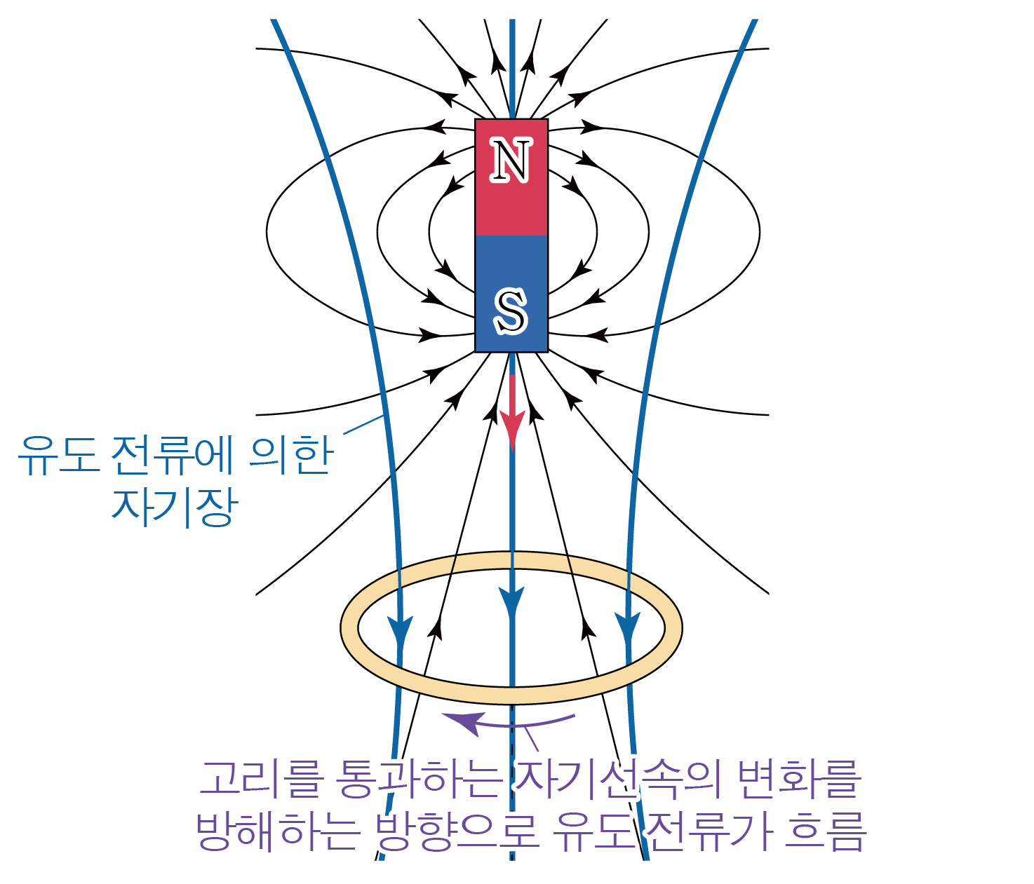 N극과 S극 자석, 자기장 선, 도체 고리와 유도 전류 방향을 나타낸 그림