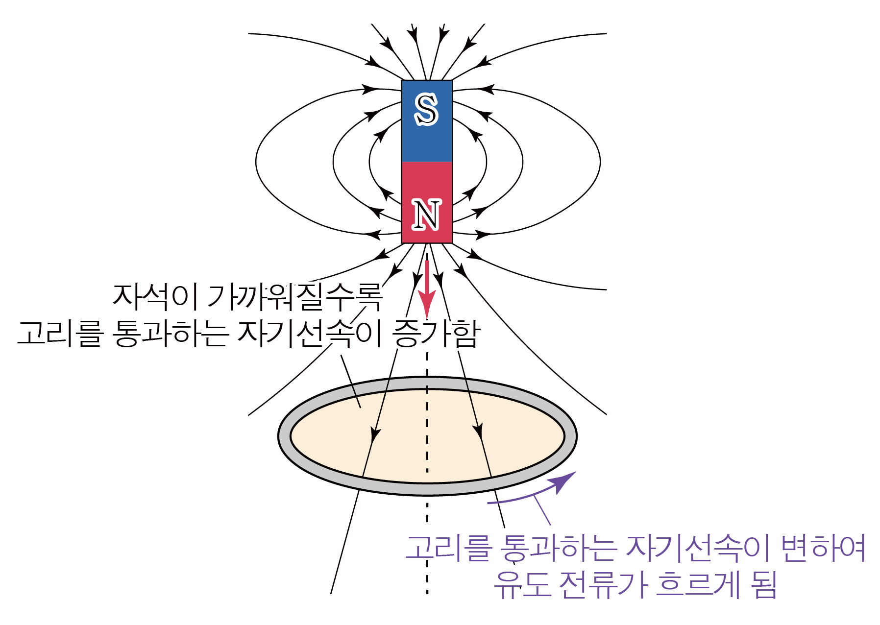 자석과 도체 고리의 자기선속 변화 및 유도 전류를 나타낸 렌츠의 법칙 그림
