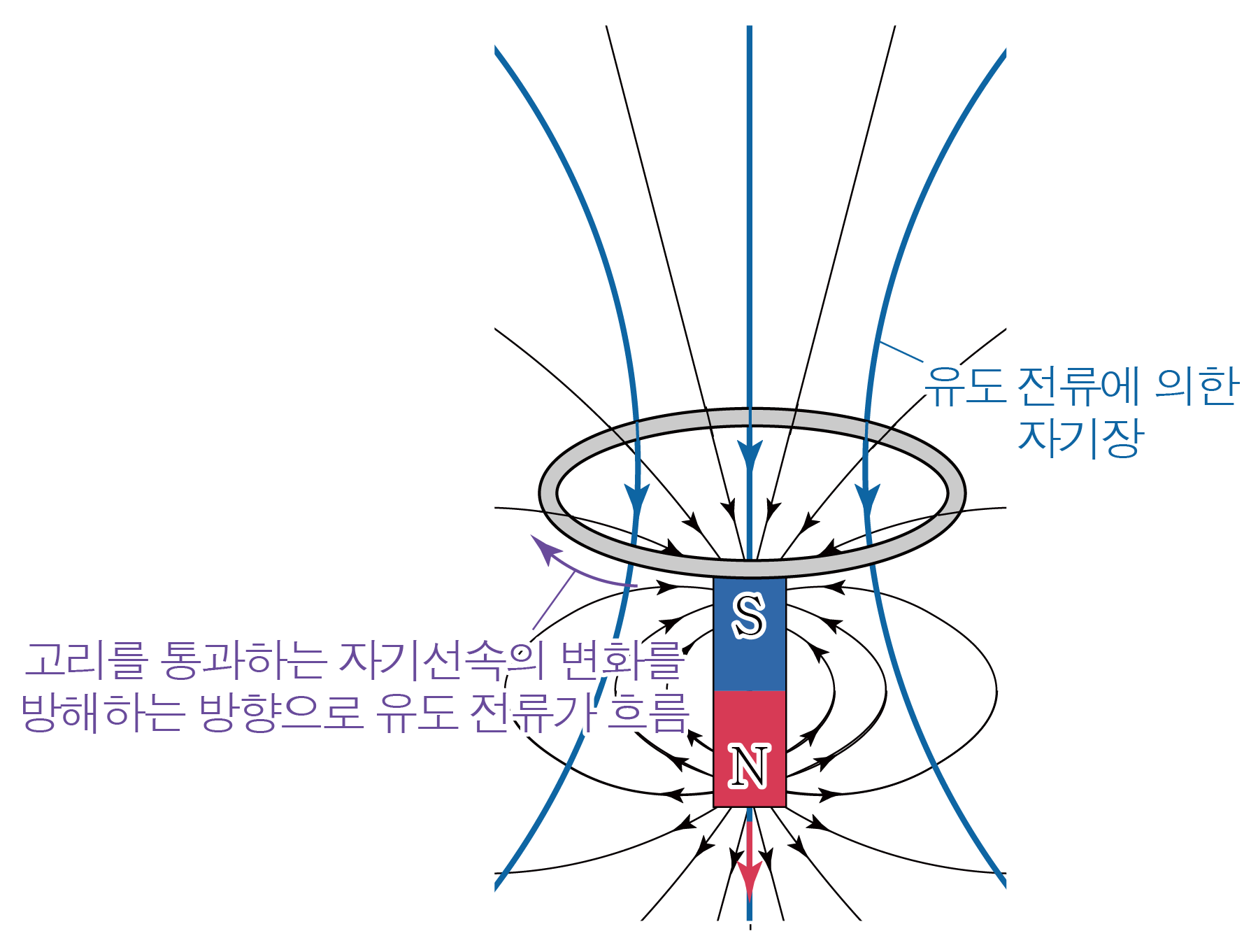 막대자석과 도체 고리의 유도 전류 및 자기장 방향을 나타낸 렌츠의 법칙 그림