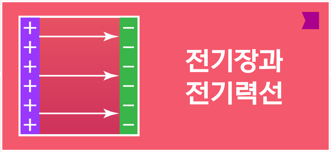 양전하와 음전하 사이의 전기력선 및 전기장과 전기력선 글자