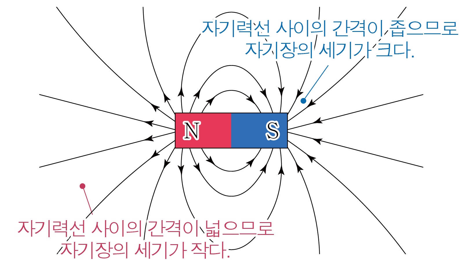 N극과 S극 주위의 자기력선과 자석에서 멀어질수록 넓어지는 자기력선 간격