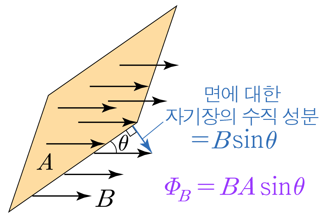 면적 벡터와 자기장의 수직 성분 및 자기선속 공식 도식