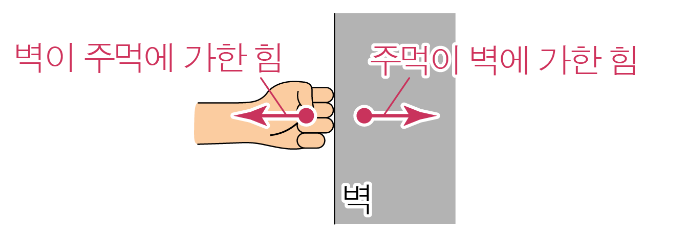 주먹과 벽의 작용-반작용 힘 화살표 다이어그램