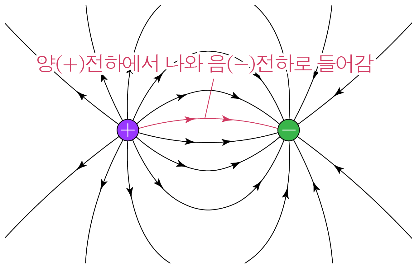 양전하에서 음전하로 향하는 전기력선 그림