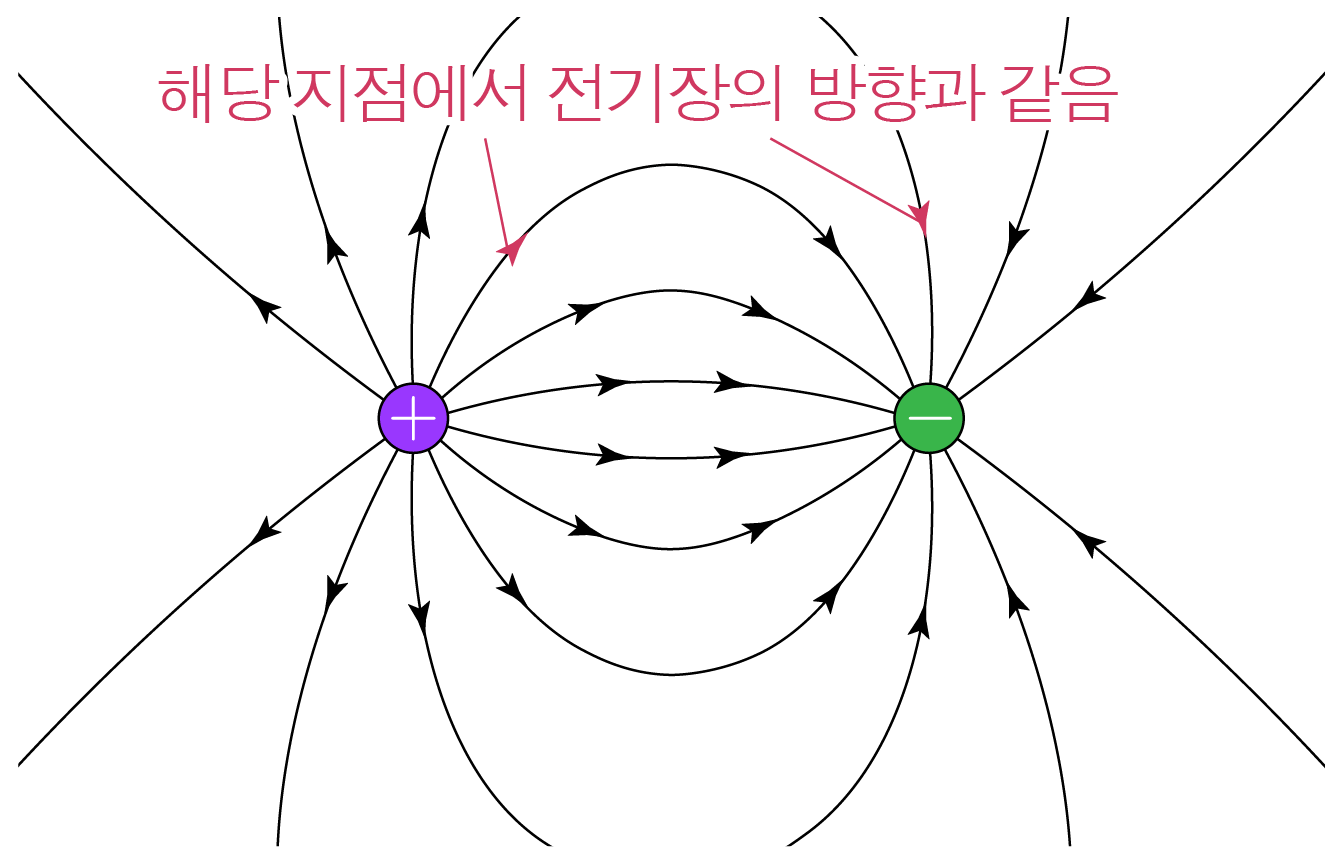 양전하와 음전하 주변의 전기력선 및 전기장 방향