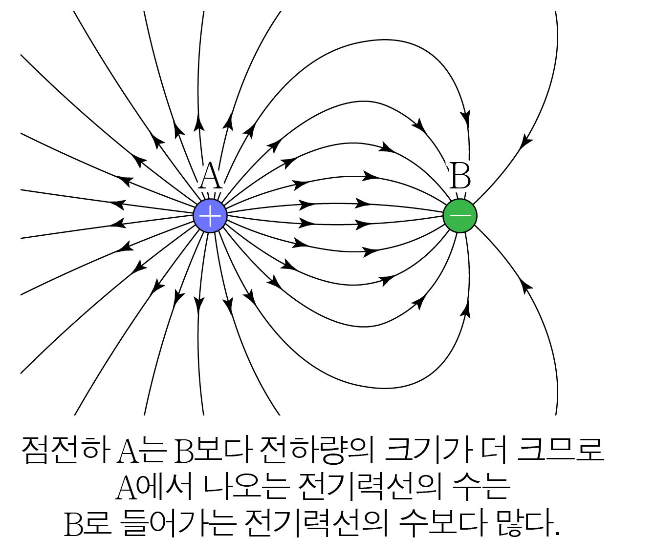 전하량이 다른 점전하 A와 B의 전기력선 분포 그림
