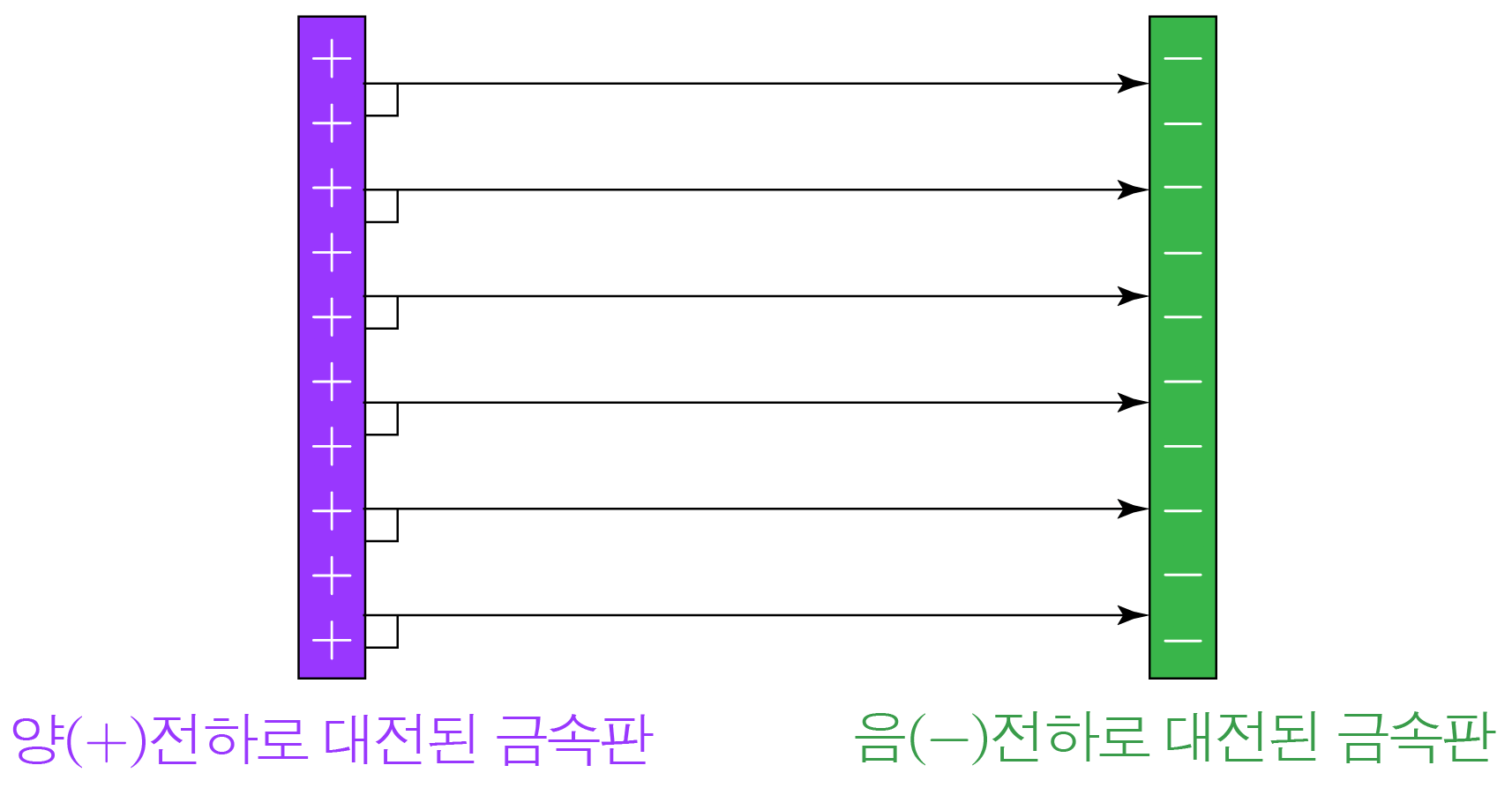 양전하와 음전하로 대전된 두 금속판 사이의 전기력선