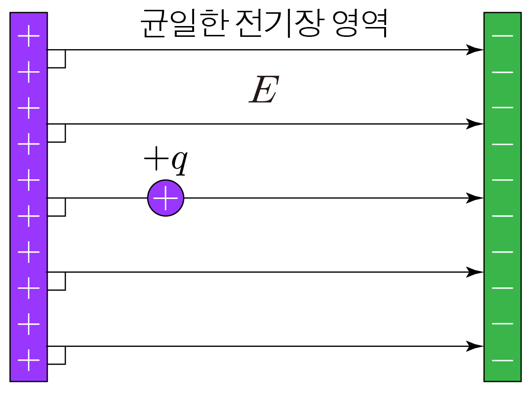 양전하와 음전하 사이의 균일한 전기장과 전기장 방향