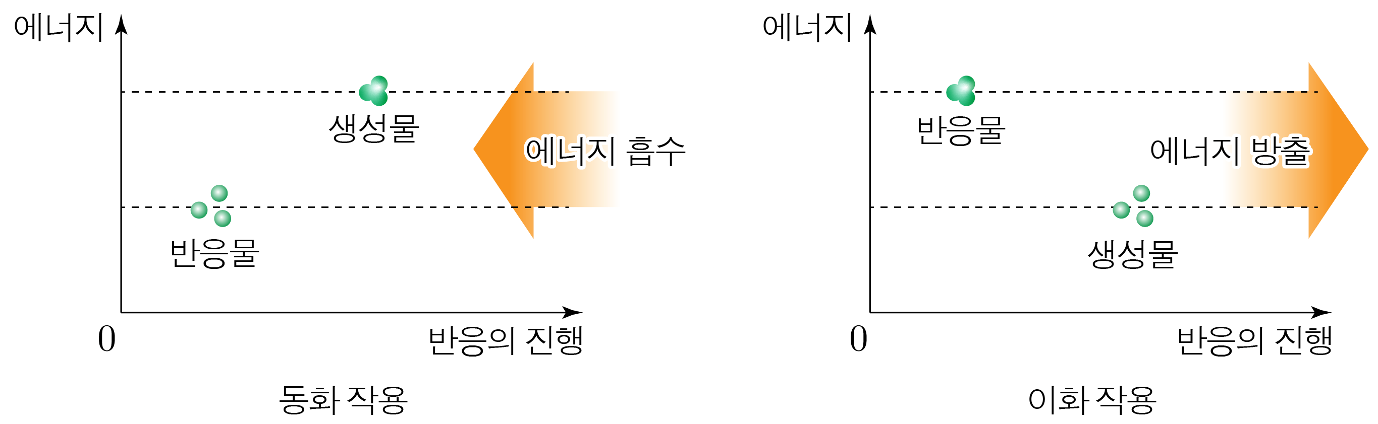 동화 작용과 이화 작용의 에너지 변화 비교 그래프