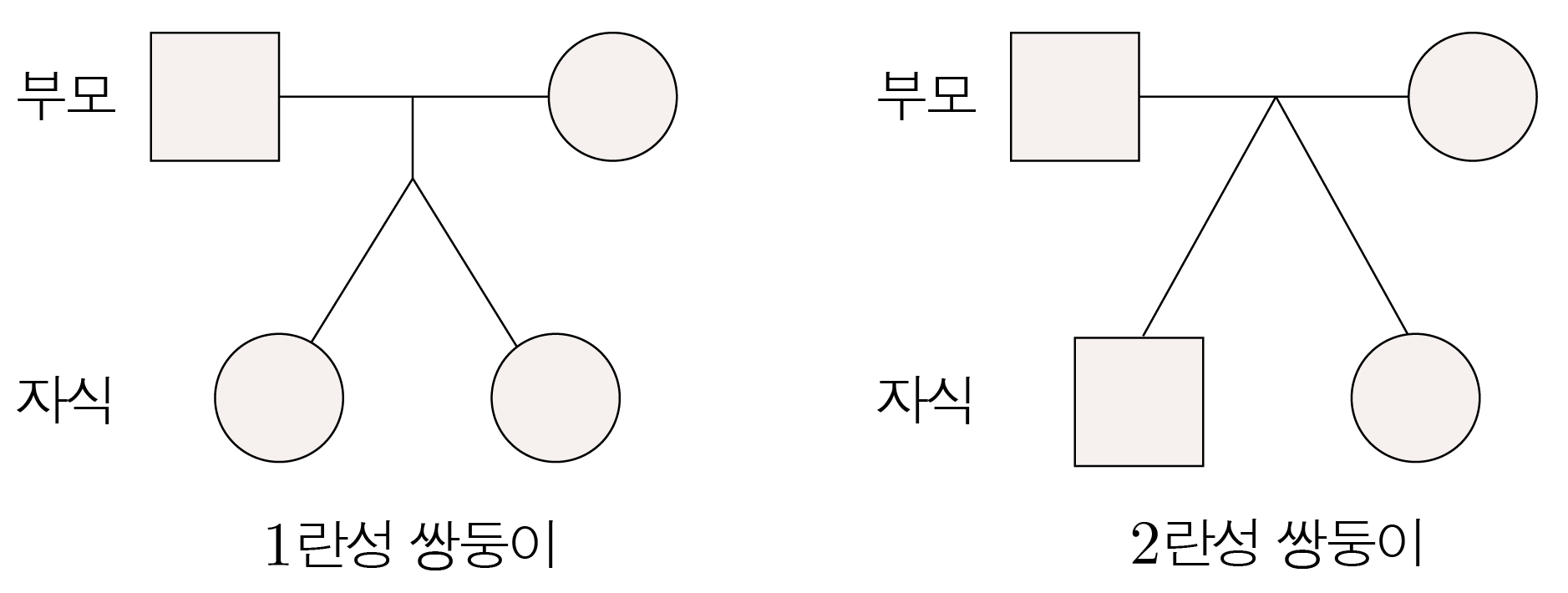 1란성·2란성 쌍둥이의 가족 관계를 나타낸 도식
