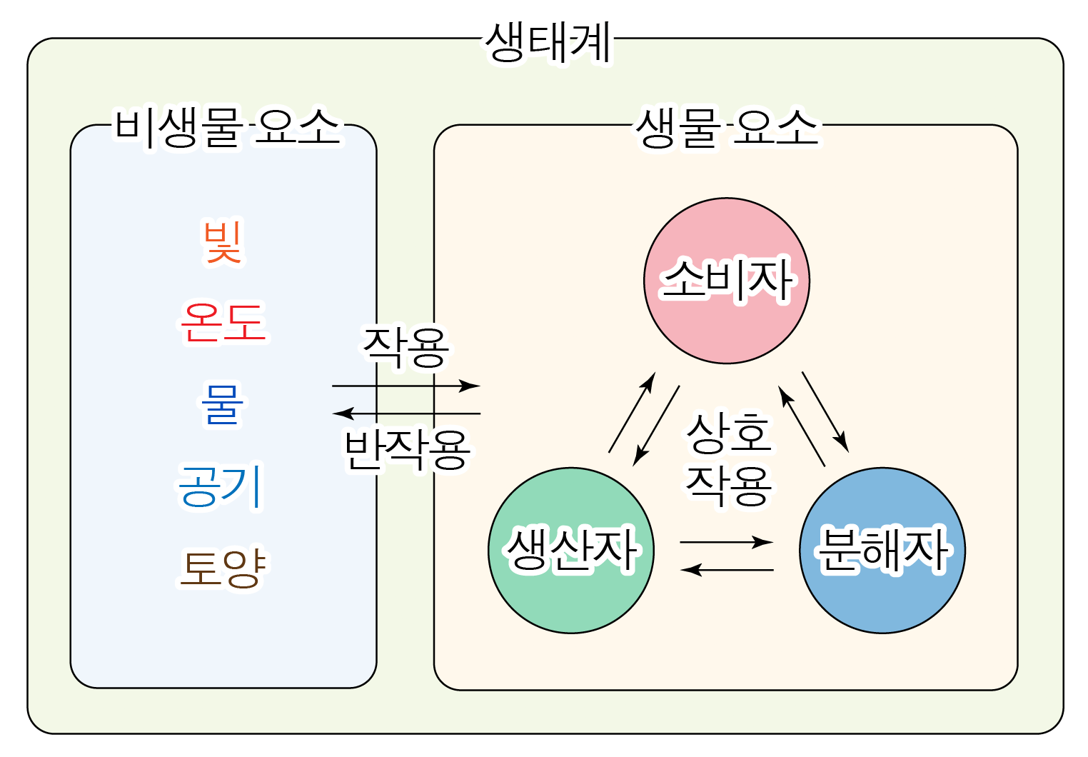 생태계의 비생물 요소와 생물 요소, 생산자·소비자·분해자의 상호작용 도식