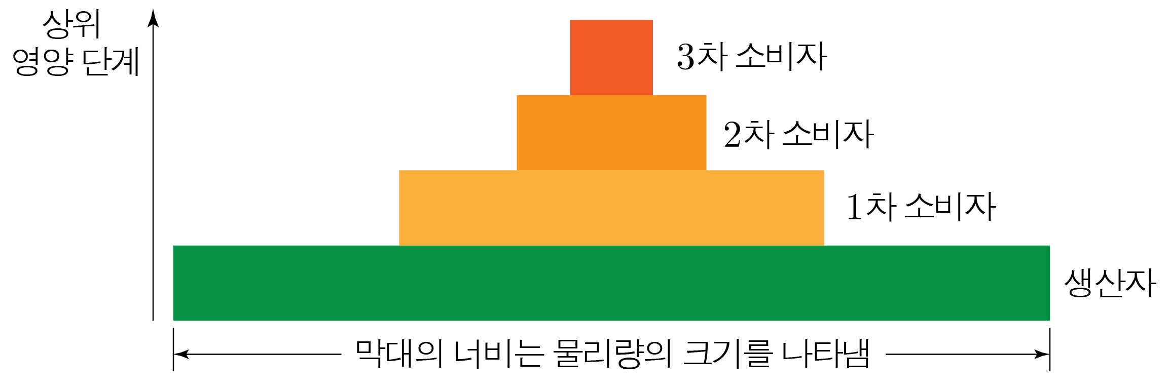 생산자와 1·2·3차 소비자의 생태 피라미드
