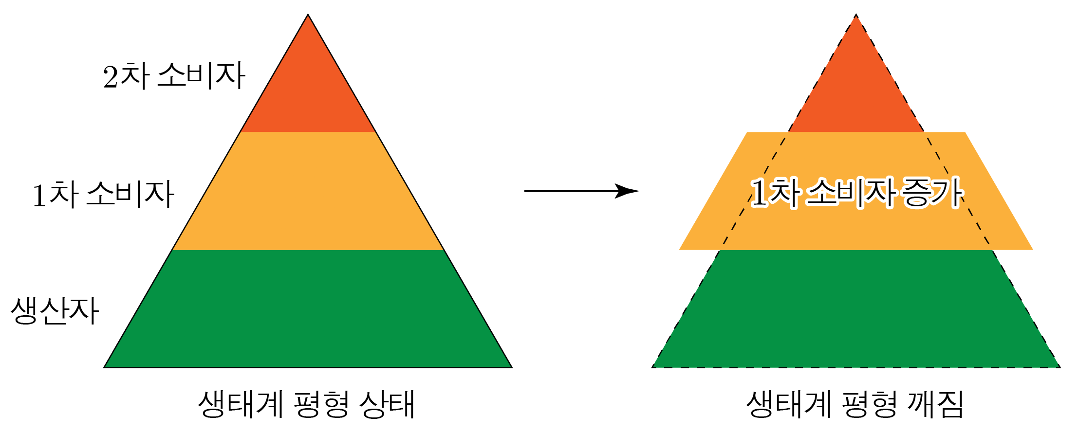 생태계 평형 상태와 평형 깨짐을 비교한 생태 피라미드 그림