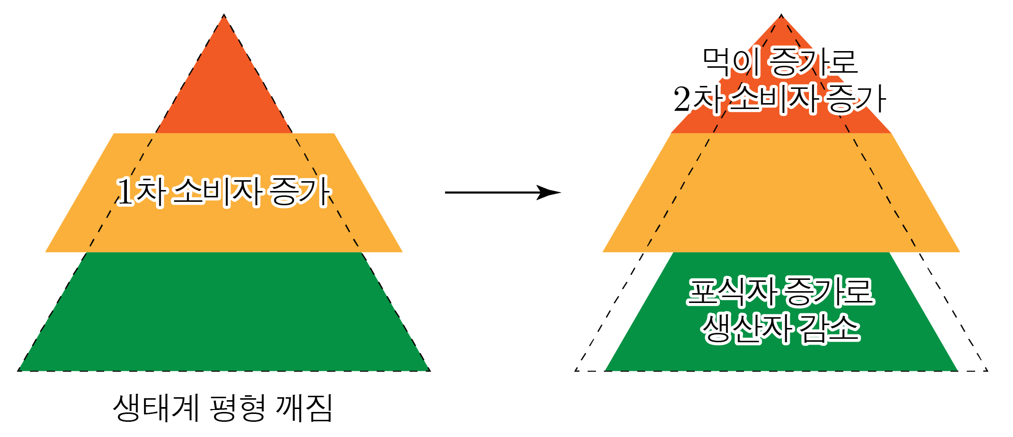 생태계 평형 깨짐과 1차·2차 소비자 증가 및 생산자 감소 도식