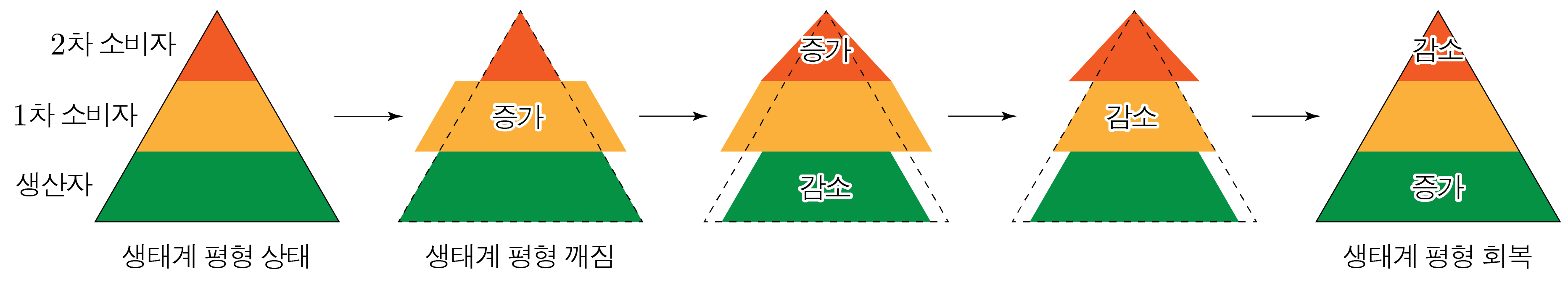 생태계 평형 상태에서 변화와 회복 과정을 나타낸 생태 피라미드 순서도