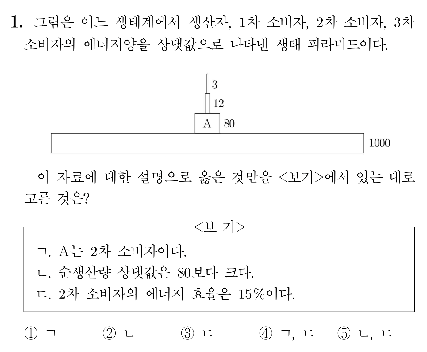 생태 피라미드의 생산자와 소비자 에너지양을 나타낸 문항