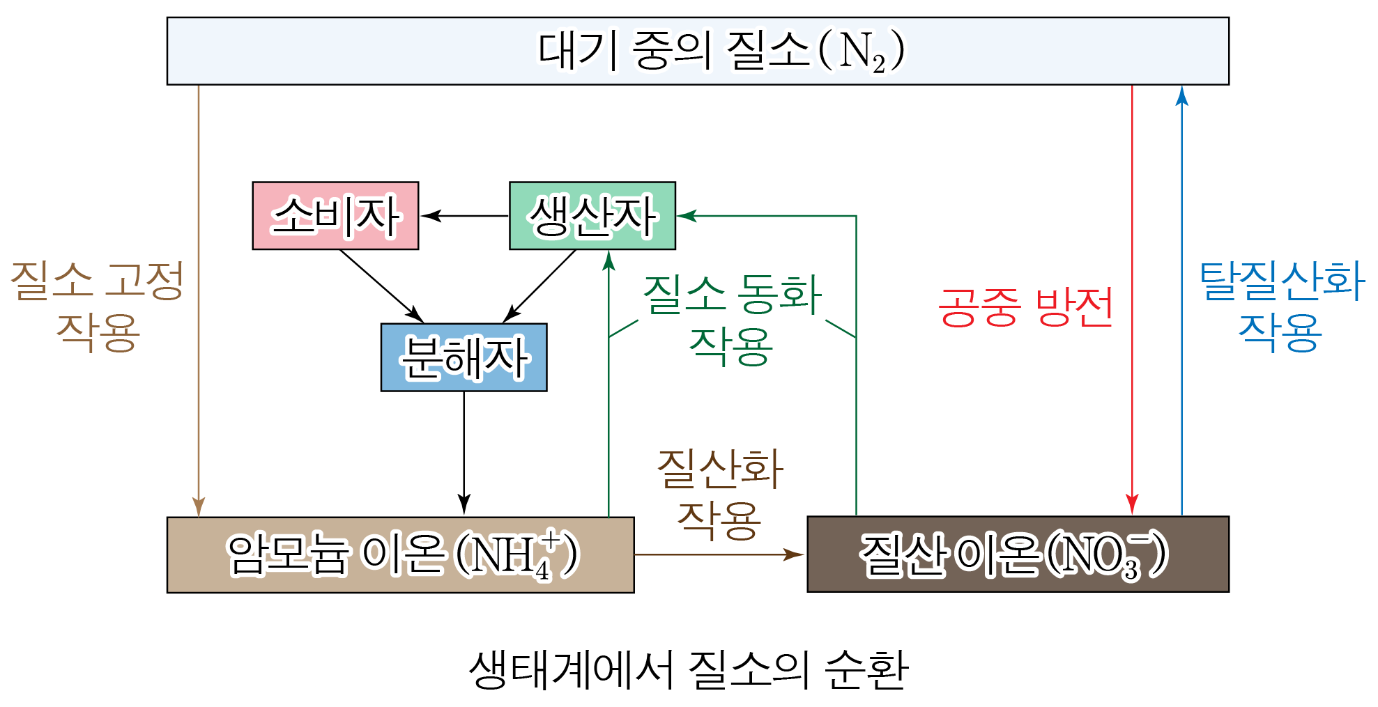 생태계에서 질소의 순환을 나타낸 순환도