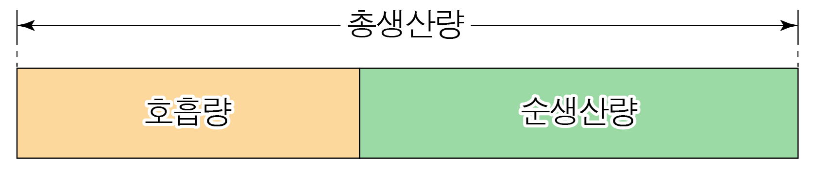 호흡량과 순생산량의 관계를 나타낸 막대 도식