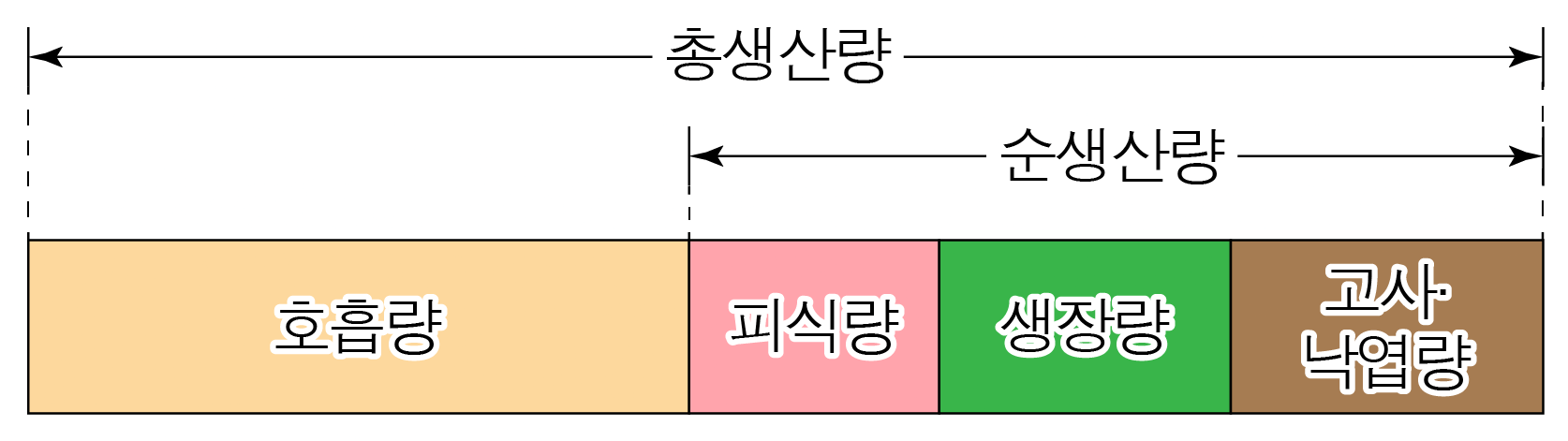 생태계 에너지 흐름의 총생산량과 순생산량 구성 막대 도식