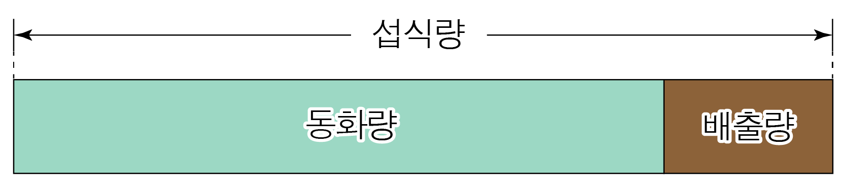 생태계 에너지 흐름에서 섭식량과 동화량·배출량의 비율을 나타낸 막대 도식