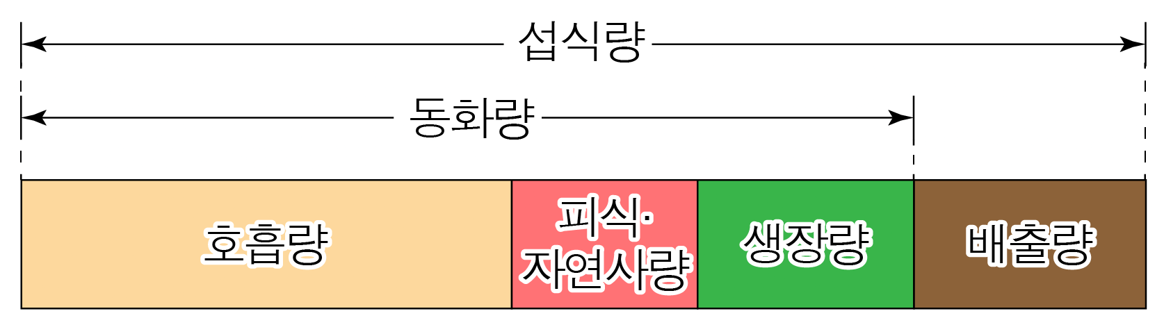 생태계 에너지 흐름에서 섭식량과 동화량 및 호흡량·피식·자연사·성장·배출량 구성도