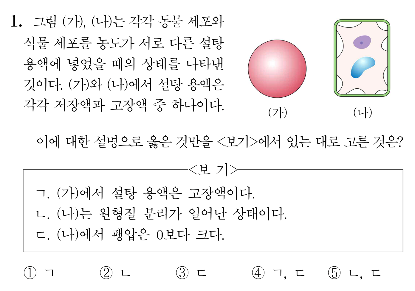 동물 세포와 식물 세포를 서로 다른 설탕 용액에 넣은 삼투 문항