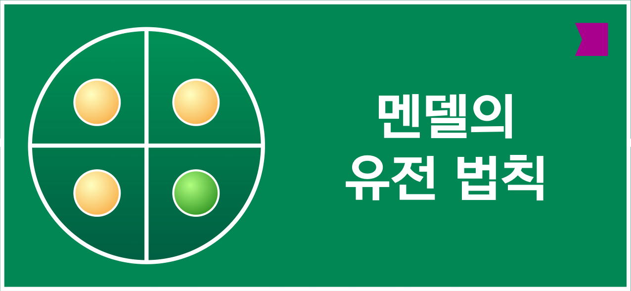 멘델의 유전 법칙 아이콘