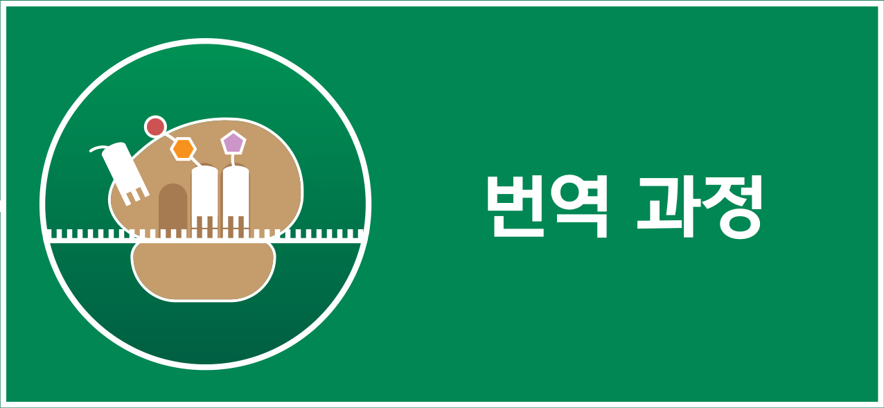 리보솜에서 번역이 진행되는 모습을 나타낸 생명과학 아이콘