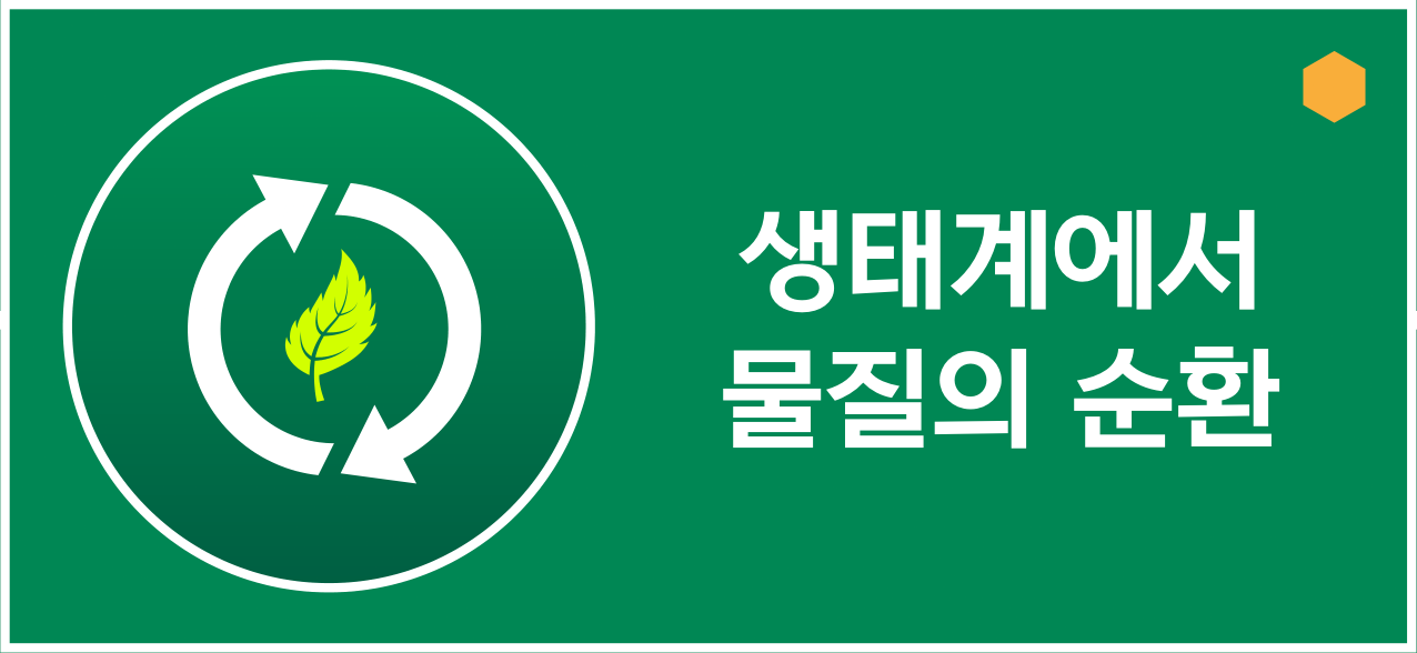 생태계에서 물질의 순환을 나타내는 잎과 순환 화살표 아이콘