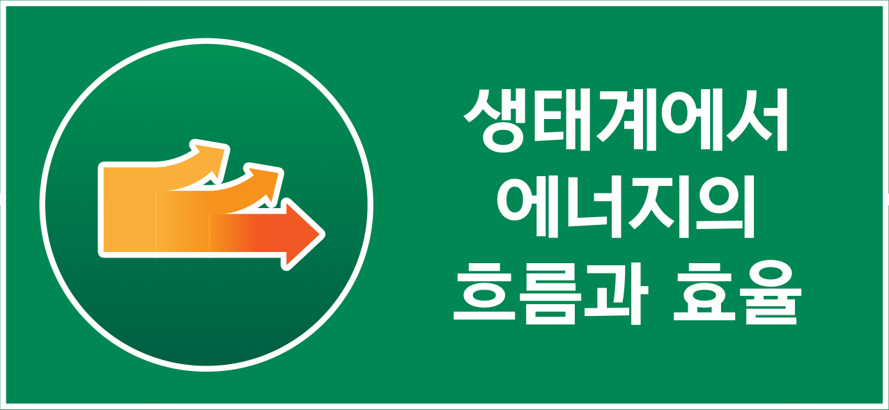 생태계에서 에너지의 흐름과 효율을 나타내는 화살표 아이콘