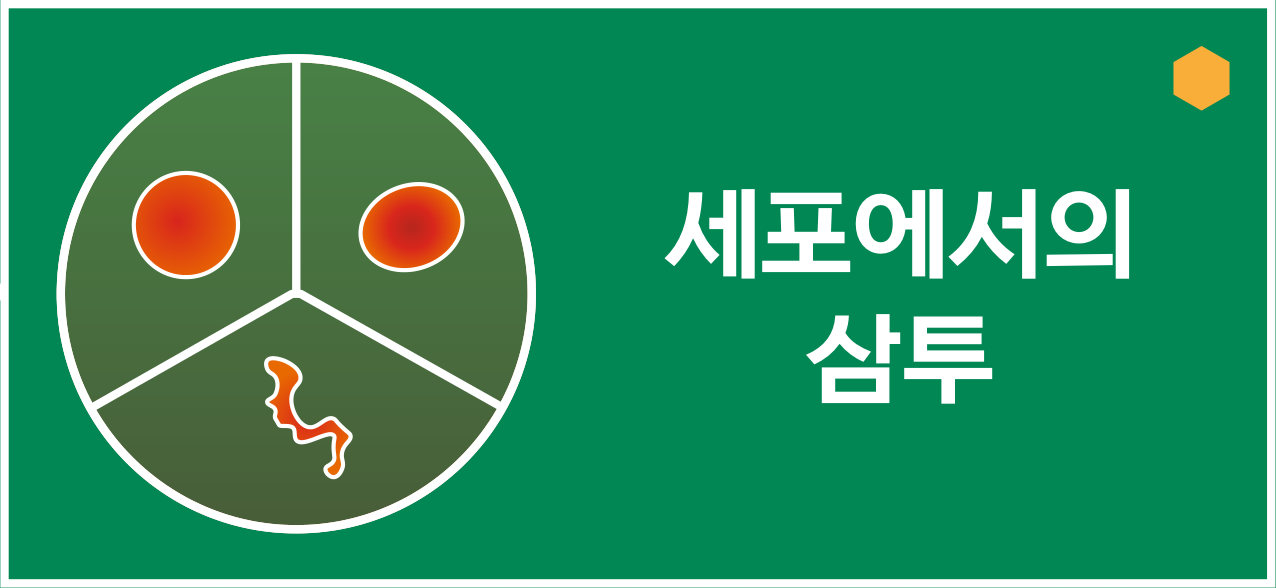 세포에서의 삼투를 나타내는 세포막 아이콘과 제목