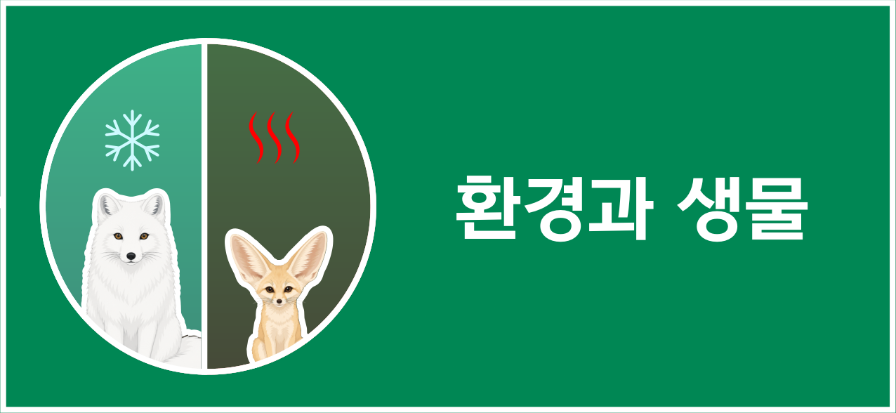 눈송이와 열기를 배경으로 한 북극여우·사막여우와 ‘환경과 생물’ 제목