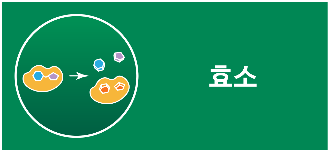 효소와 기질의 결합 및 생성물 분리를 나타낸 효소 작용 아이콘