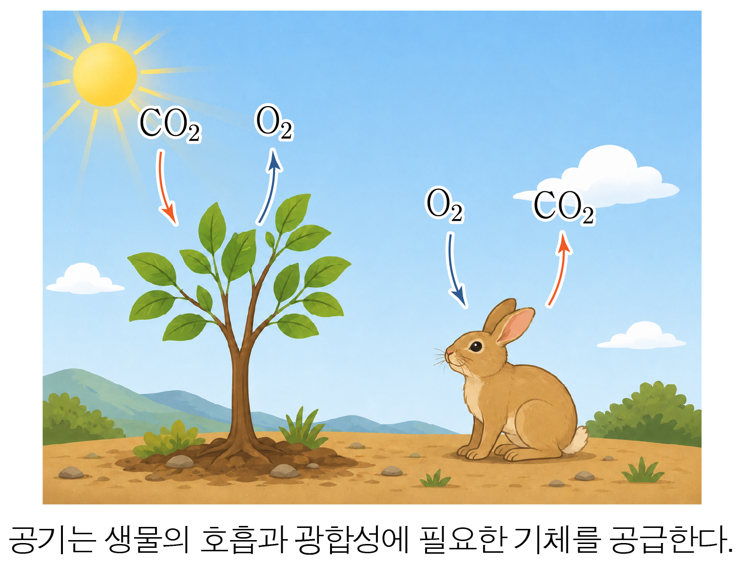 나무와 토끼 사이의 산소·이산화탄소 교환과 햇빛을 나타낸 생태계 그림