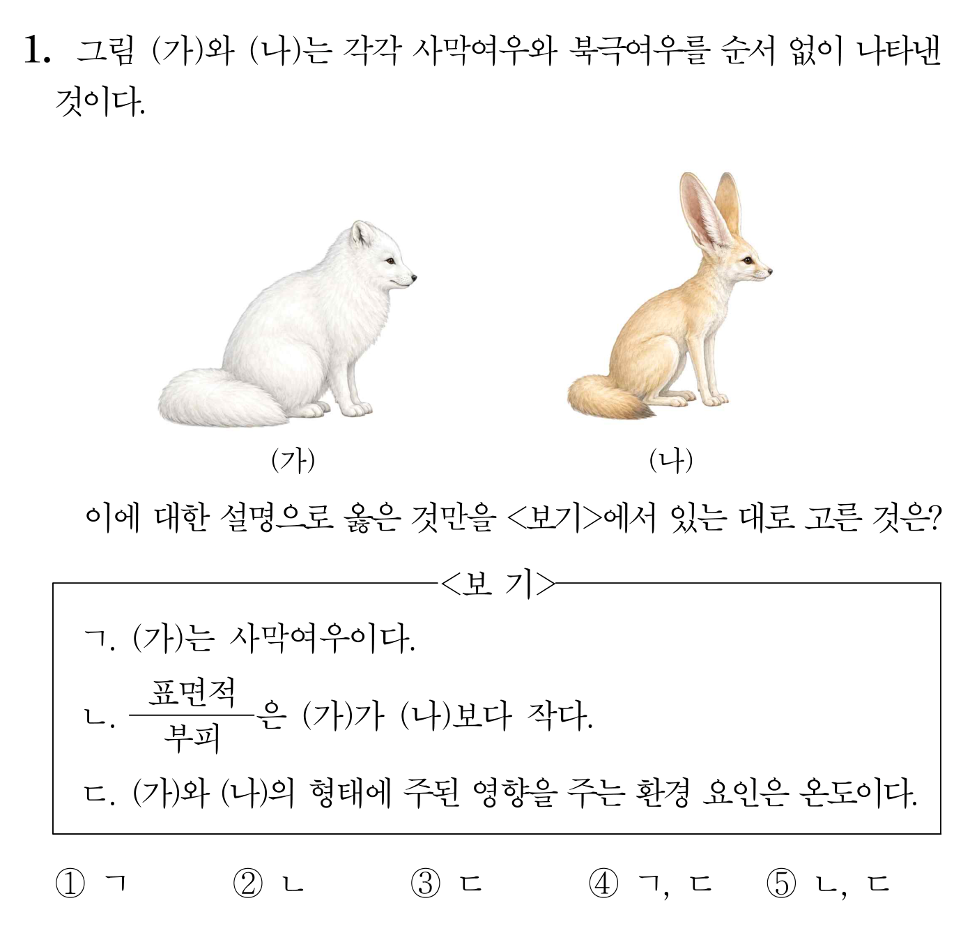 사막여우와 북극여우의 형태 및 표면적·부피 비교 문항