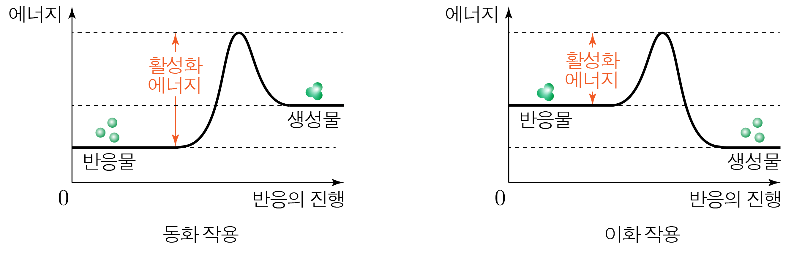 동화 작용과 이화 작용의 에너지 변화 그래프