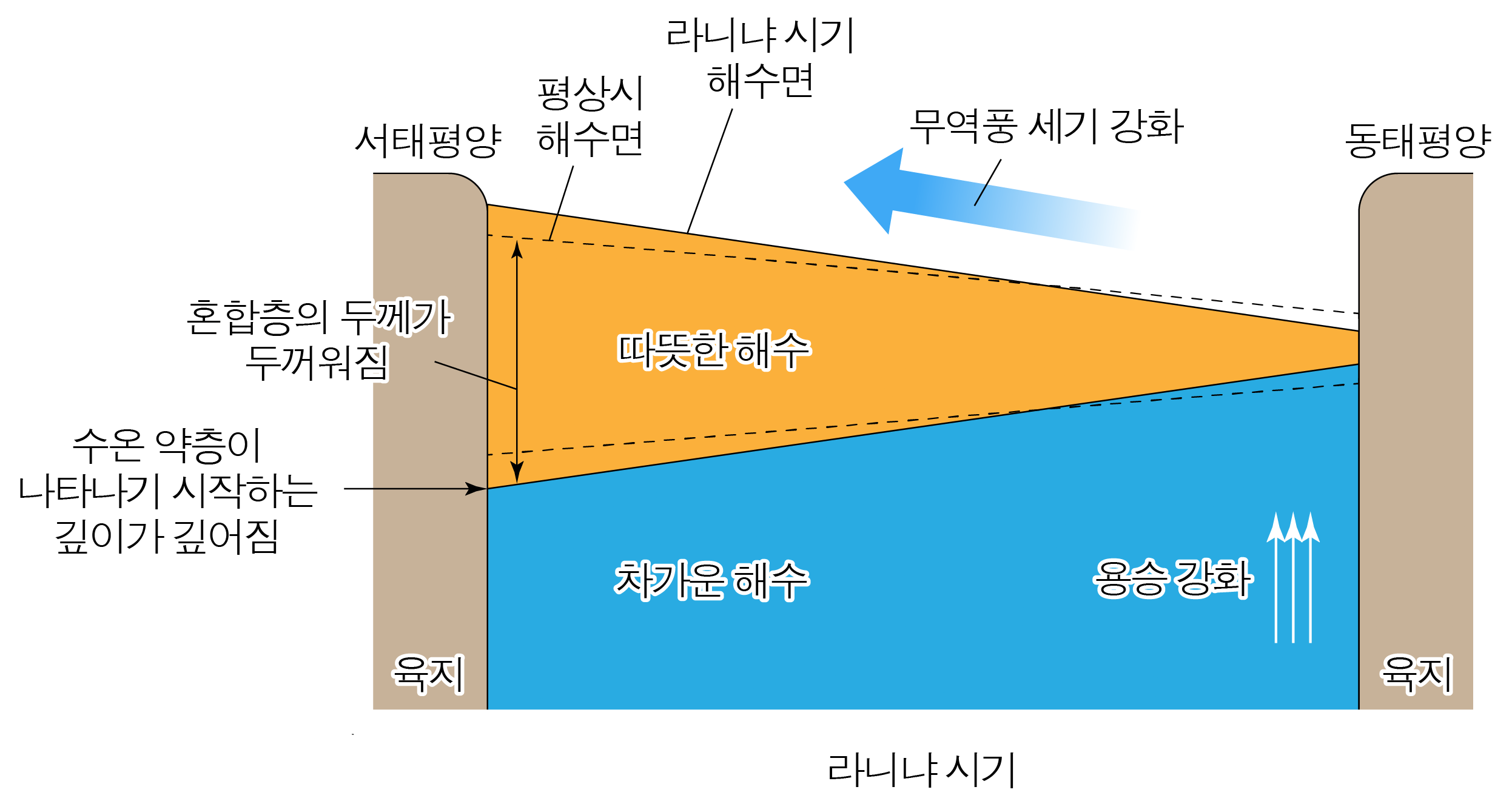 라니냐 시기의 태평양 해수면과 따뜻한 해수·차가운 해수 분포 모식도