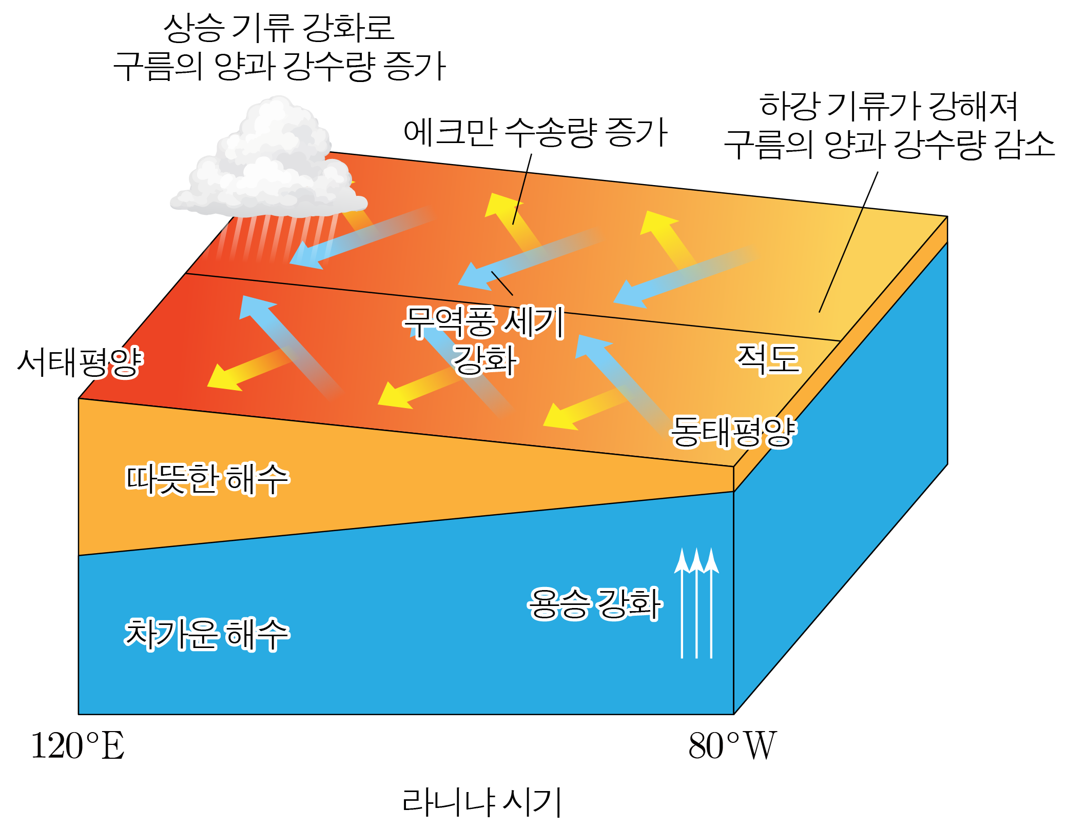 라니냐 시기의 태평양 해수면과 대기 순환을 나타낸 모식도