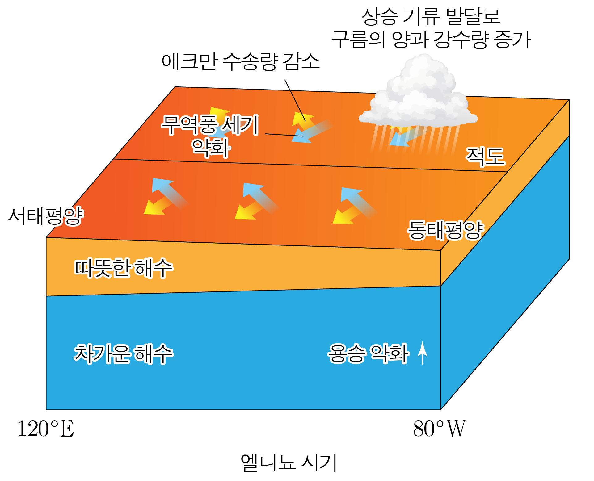 엘니뇨 시기의 해수 온도와 대기 순환 변화를 나타낸 단면도